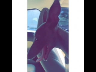 kylie's instagram (may 2015)