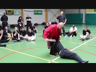 cool self-defense with pencak silat