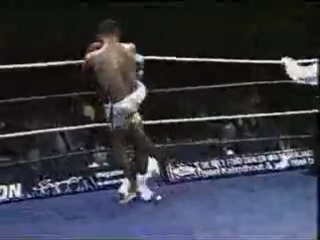 muay thai - best knockouts